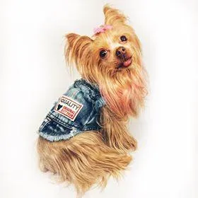 Cool Dude Pet Denim Vest